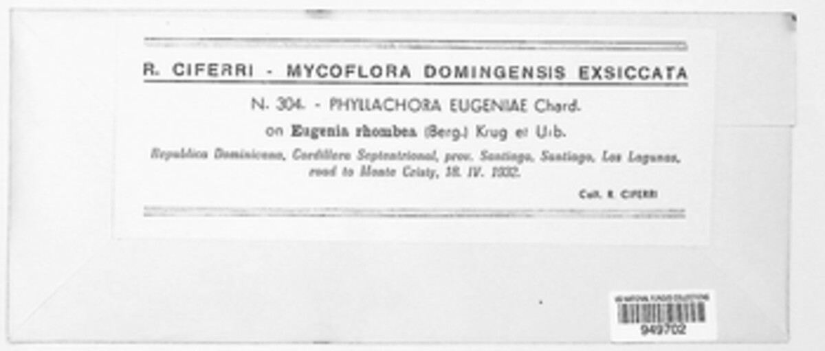 Phyllachora eugeniae image